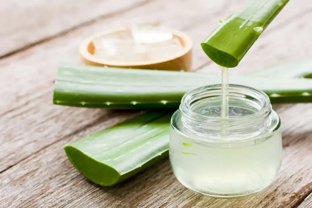 3 Science-Backed Benefits of Aloe Vera Gel Freeze Dried Powder